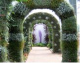 Daniel Stowe Gardens trellis arches finished